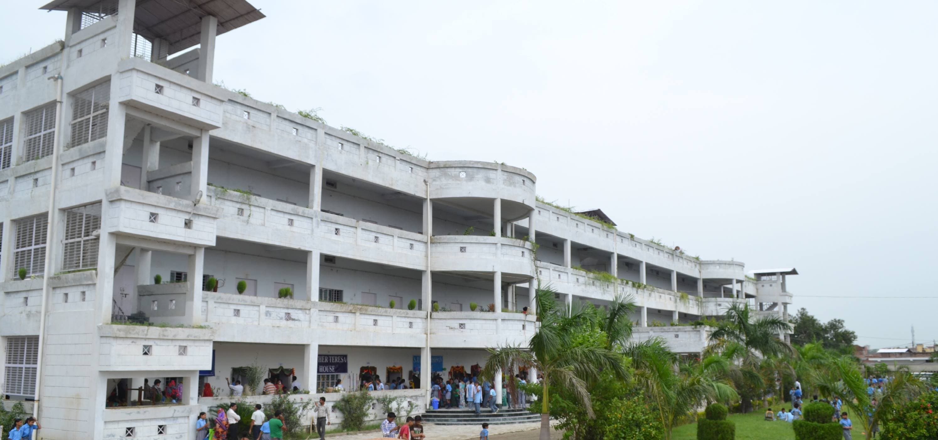 college background